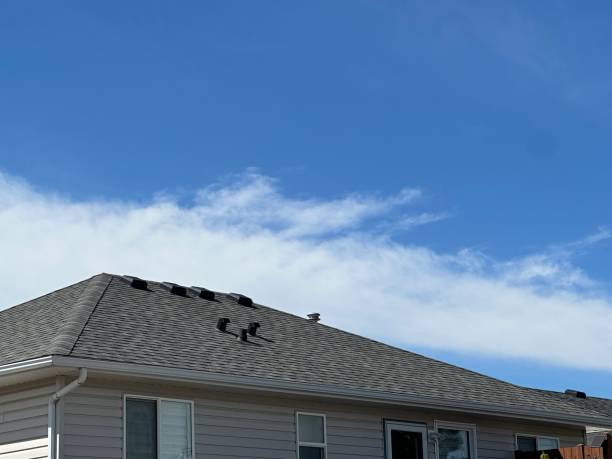 Best Roof Maintenance and Cleaning  in Owings, MD
